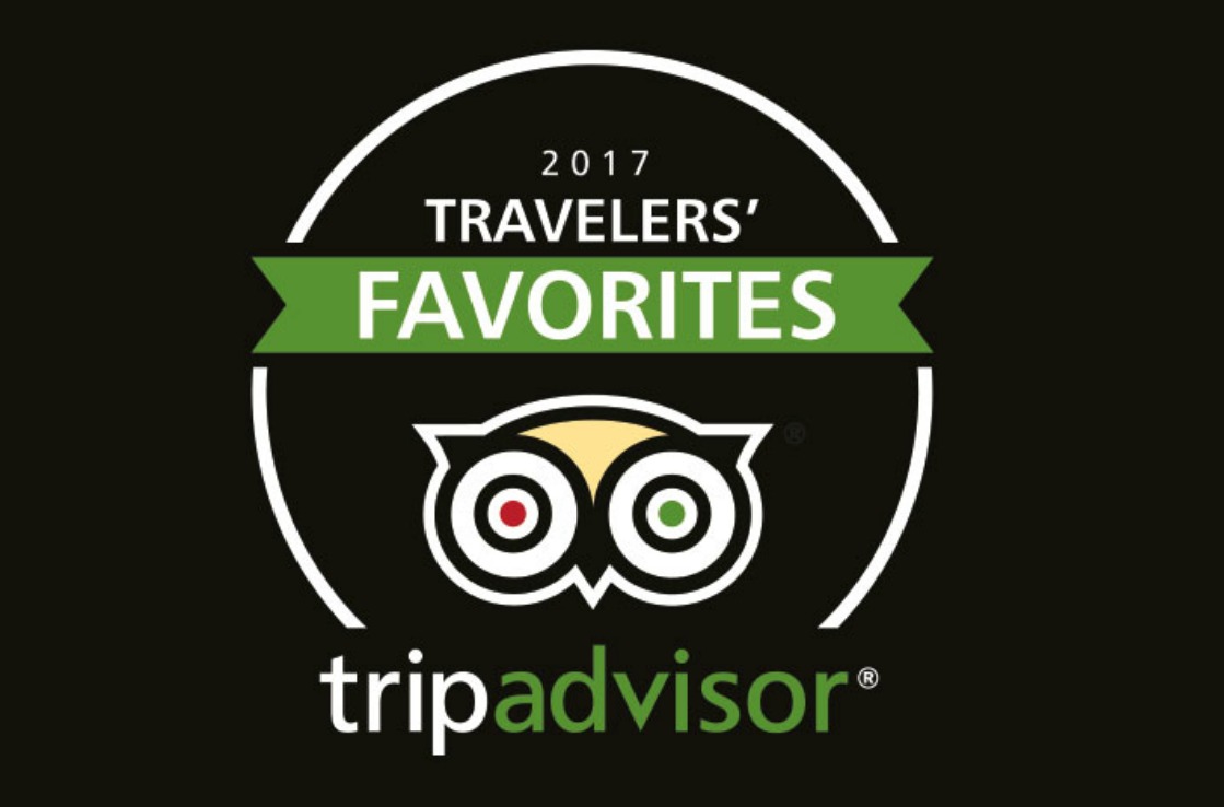 TripAdvisor Award logo